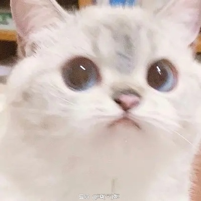 naccy@me.ns.ci